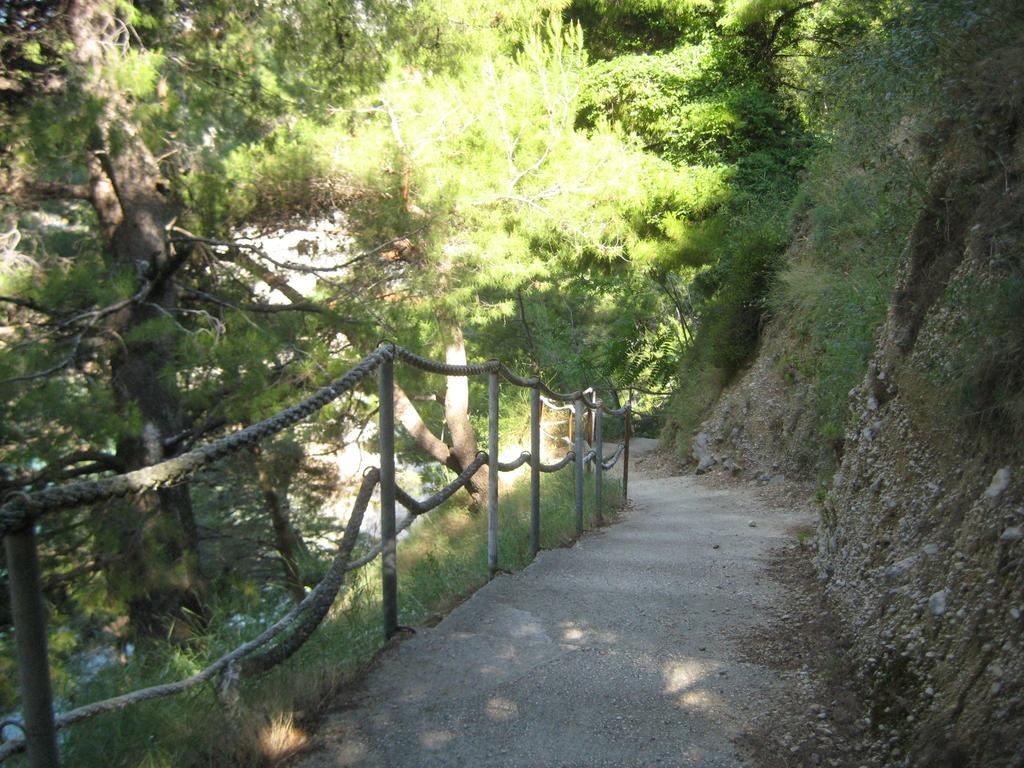 Apartments Žara 麦米科 外观 照片