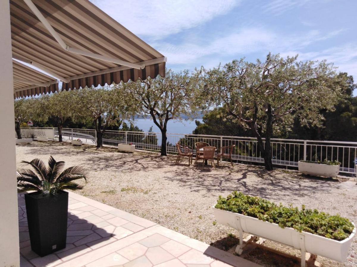 Apartments Žara 麦米科 外观 照片
